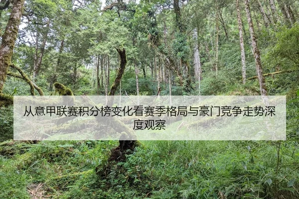 从意甲联赛积分榜变化看赛季格局与豪门竞争走势深度观察